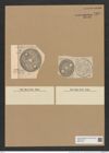 Auliscus moronensis Grev. (de-Toni-Nr.: Genus 171, Species 4348) Zeichnungen Sammlung Grunow Nr. 7909 (NHMW-BOT-W0377183)